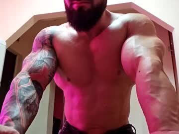 adonis msc