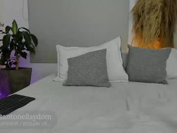 antonella dom