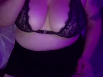 kittycompanion